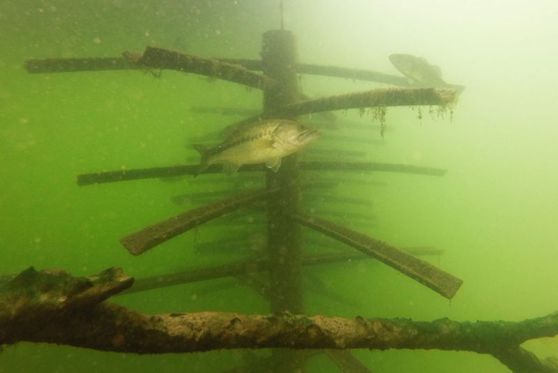 Tangled Line In Underwater Structure