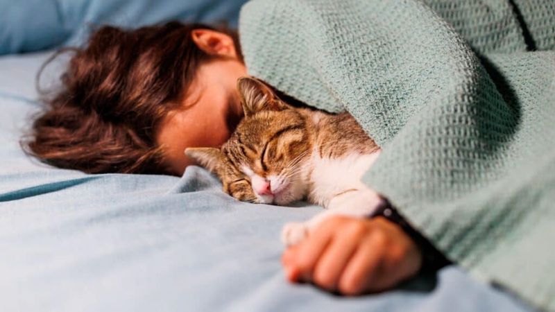 Sleep Quality Improvers