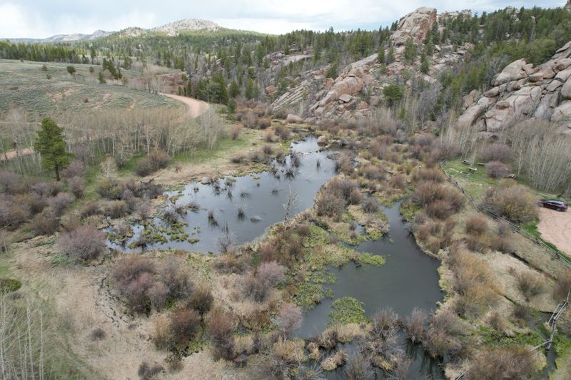 How Beavers Shape The Landscape