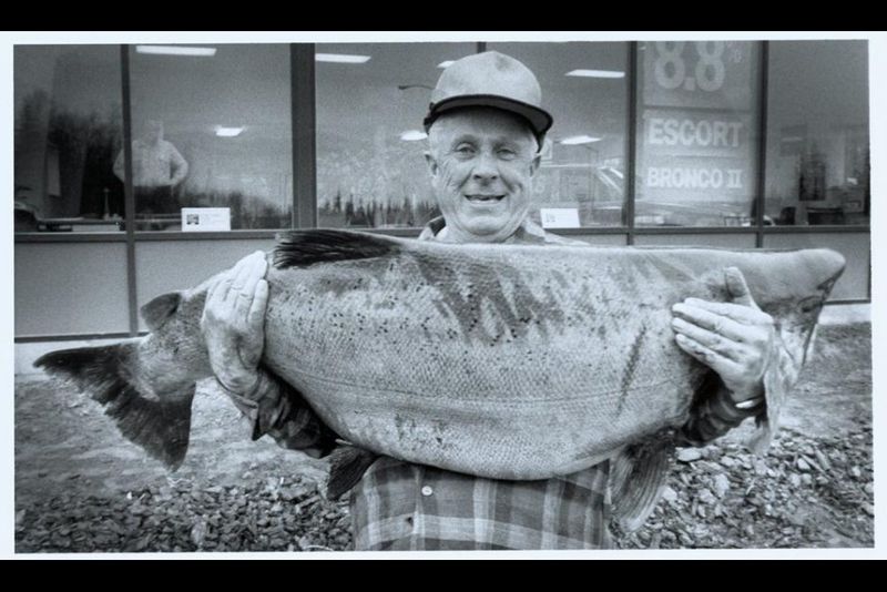 Kenai River's Salmon Colossus