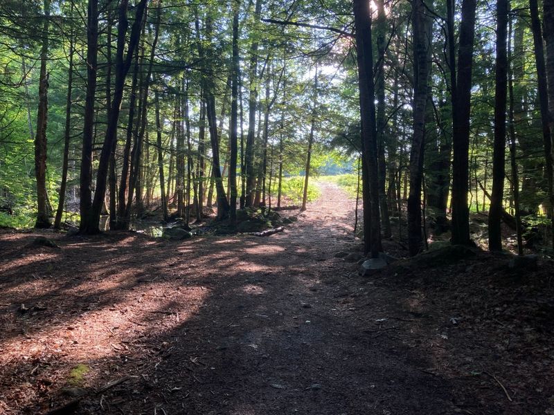 Maine