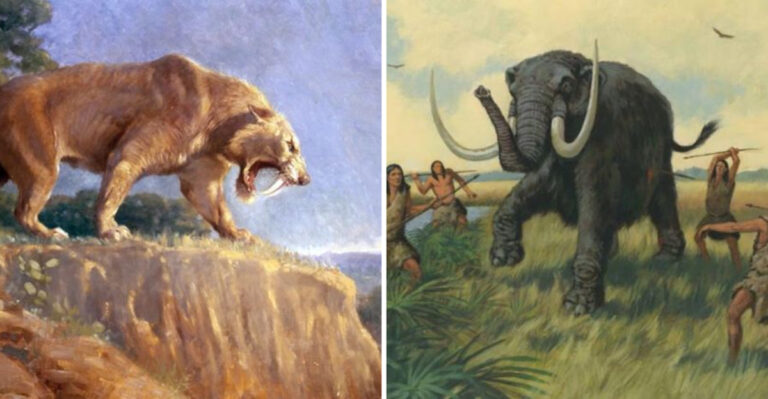 Florida’s Lost Giants: When Mammoths And Saber-Toothed Cats Dominated The South