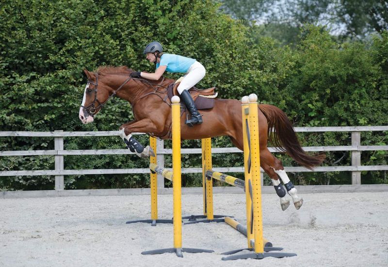 Two-Point Gait