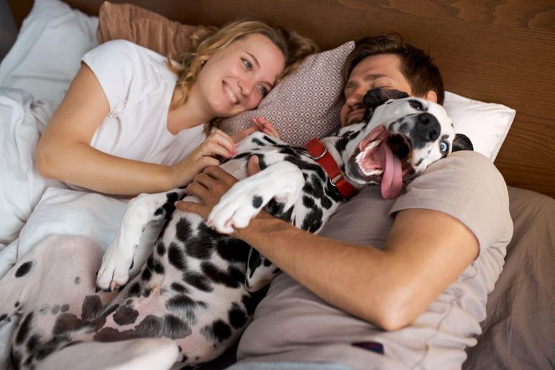 The Excited Morning Greeting