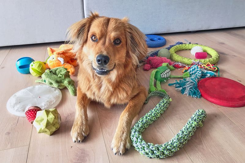 Brings You Their Favorite Toys