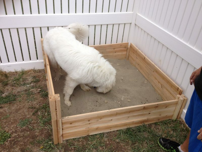 Designated Digging Zones