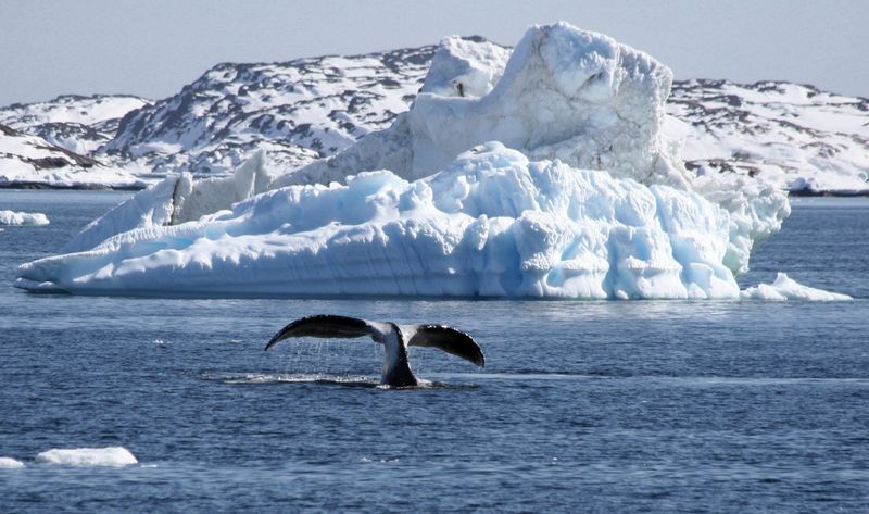 Climate Change Induced Habitat Shifts