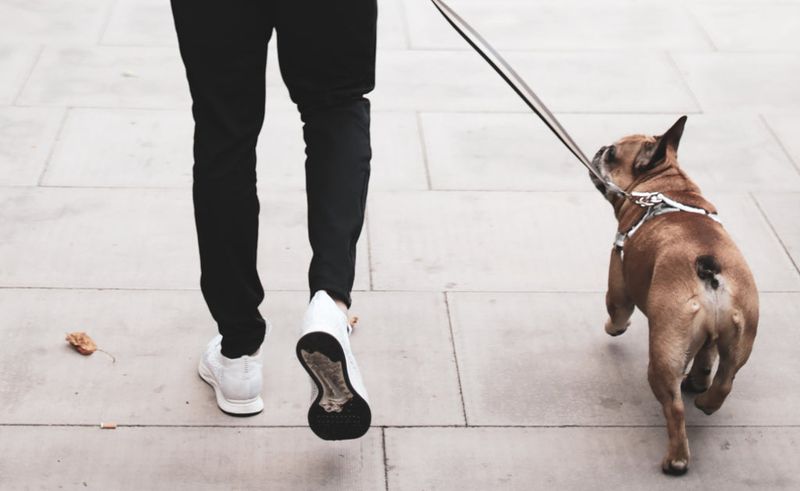 Skipping Regular Exercise
