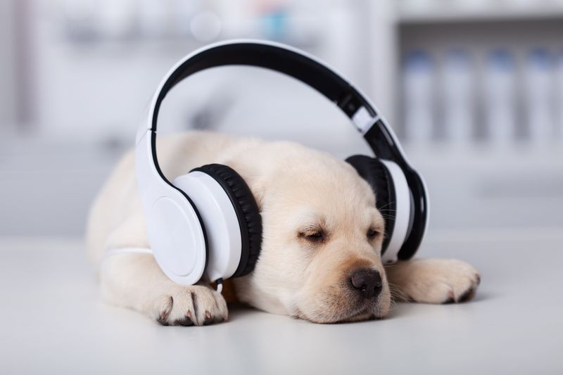 Play Loud Music