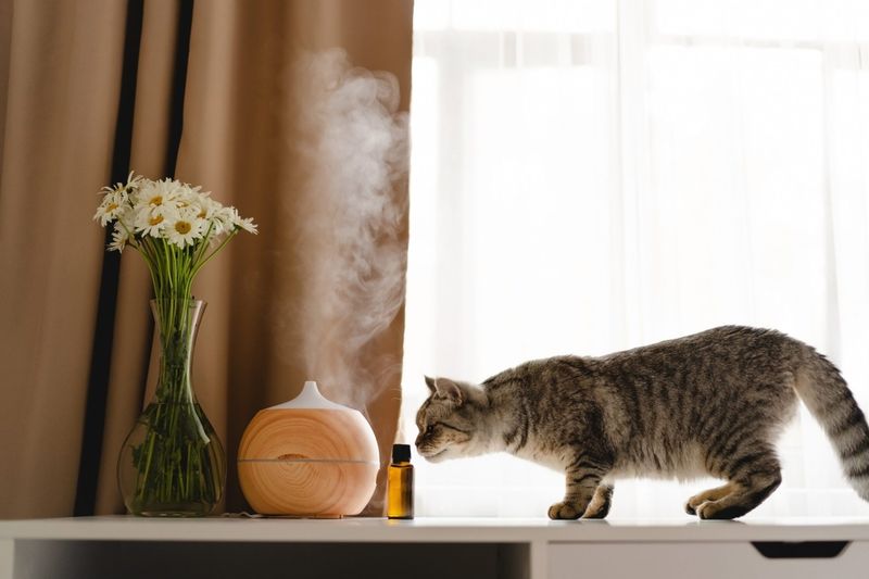Leave Candles Or Essential Oil Diffusers On