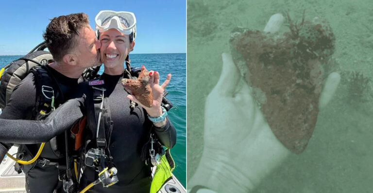 Fossil Diver Discovers Extremely Rare Megalodon Tooth In Florida