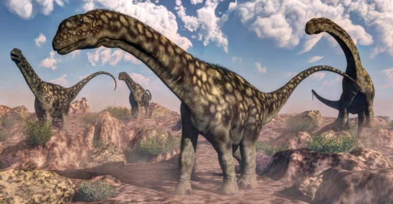 Fossil Evidence Confirms Long-Necked Dinosaurs Were Plant Eaters