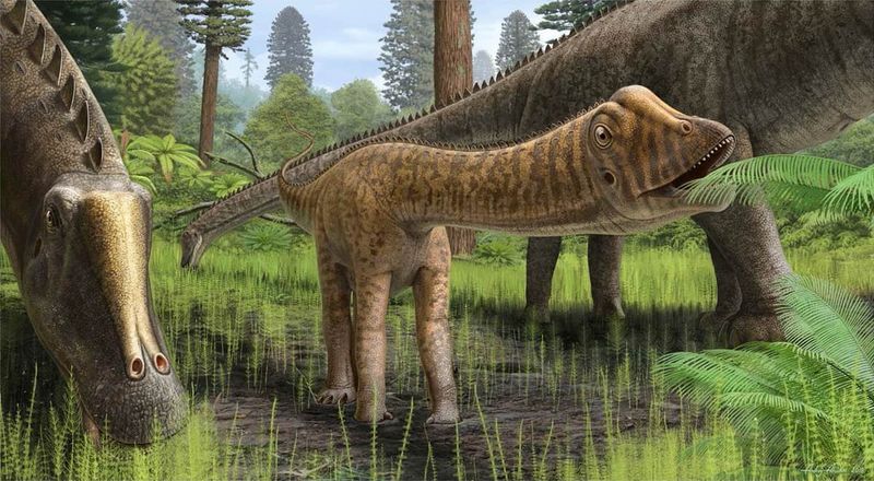 Unveiling The Secret Of Plant Digestion In Dinosaurs
