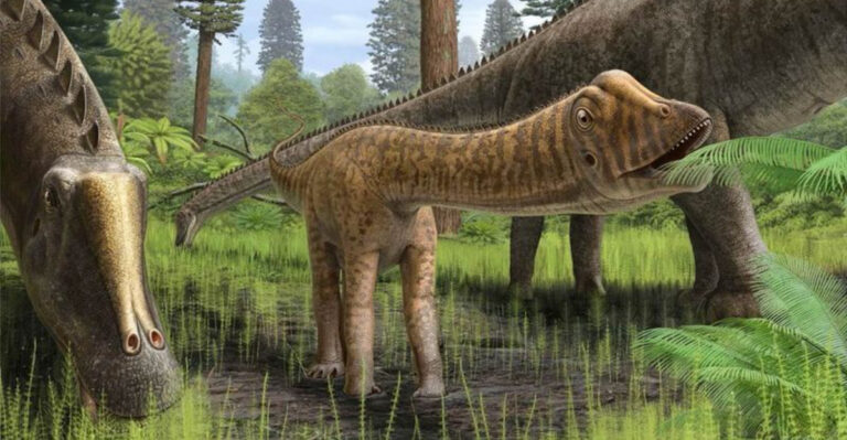 Fossil Gut Reveals Ancient Dinosaur’s Secret To Digesting Plants Without Chewing