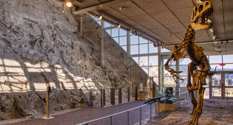 Jurassic Giants At Cleveland-Lloyd Dinosaur Quarry, Utah