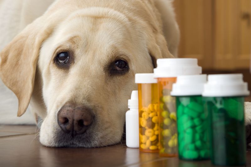 Supplements Are Always Needed For Optimal Health