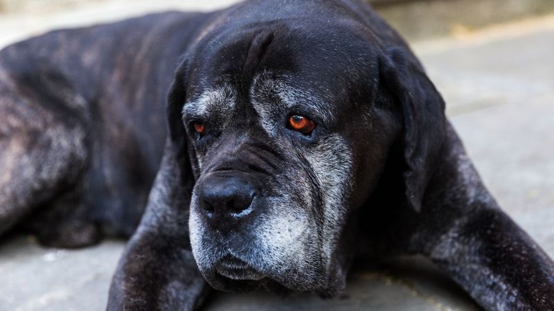 Tumors That Are Visibly Growing Or Bleeding