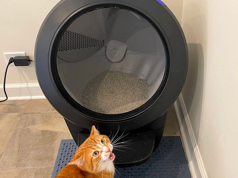 Self-Cleaning Litter Box