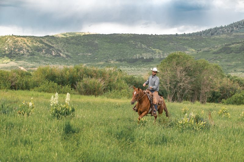 Private Landowner Incentive Reduction