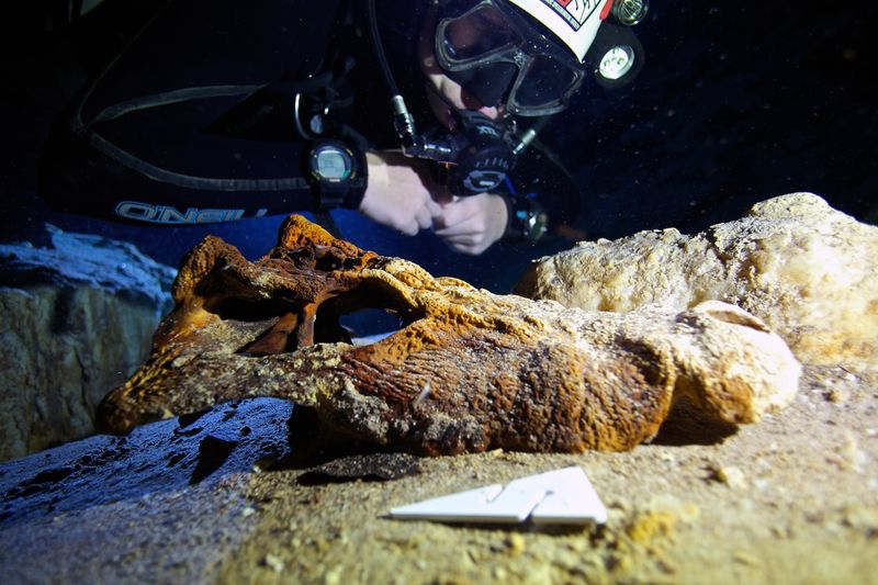 How A New Documentary Is Bringing These Discoveries To Light