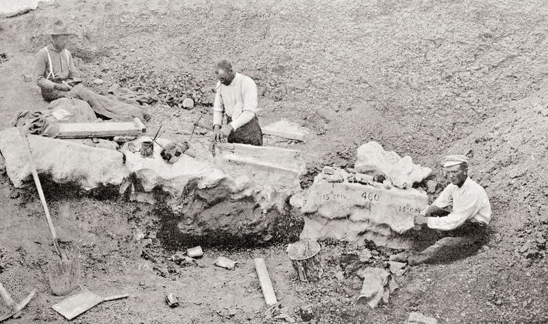 Excavation And Classification (Late 1800s)
