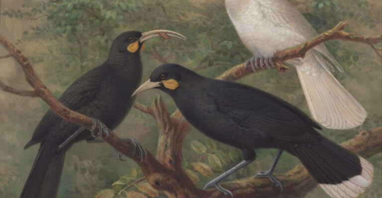 From The Dodo To The Dire Wolf: 14 Extinct Animals That Still Haunt Us