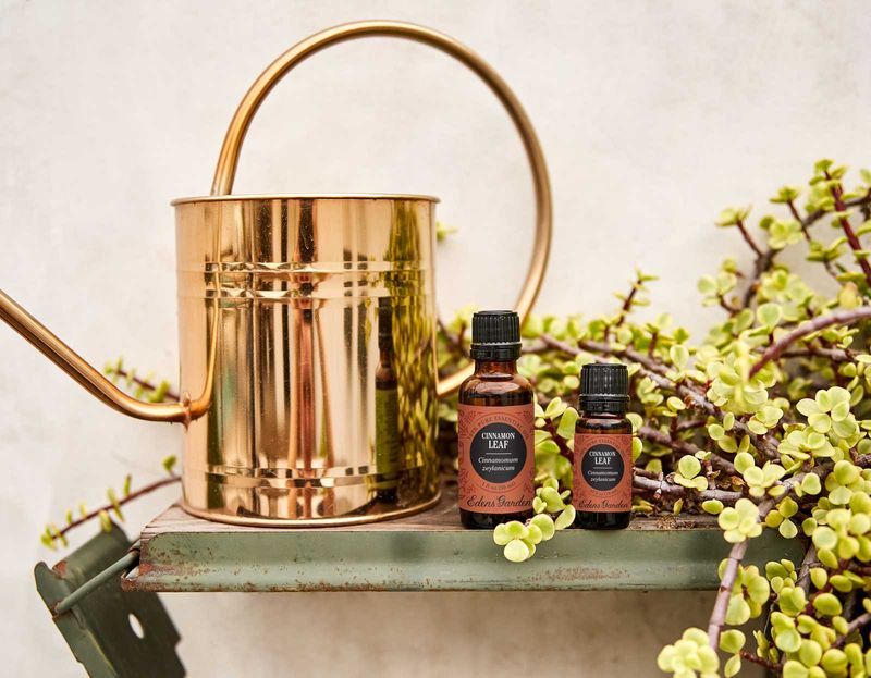 Tea Tree Oil Barrier