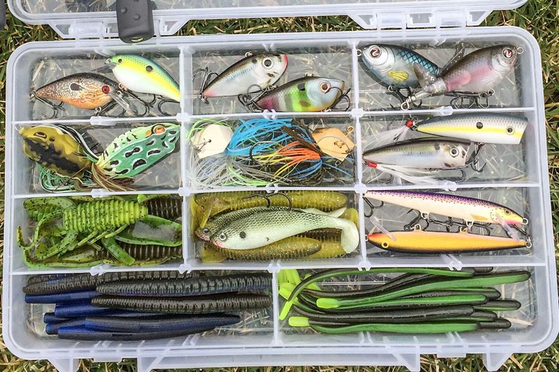 Master The Art Of Lure Selection