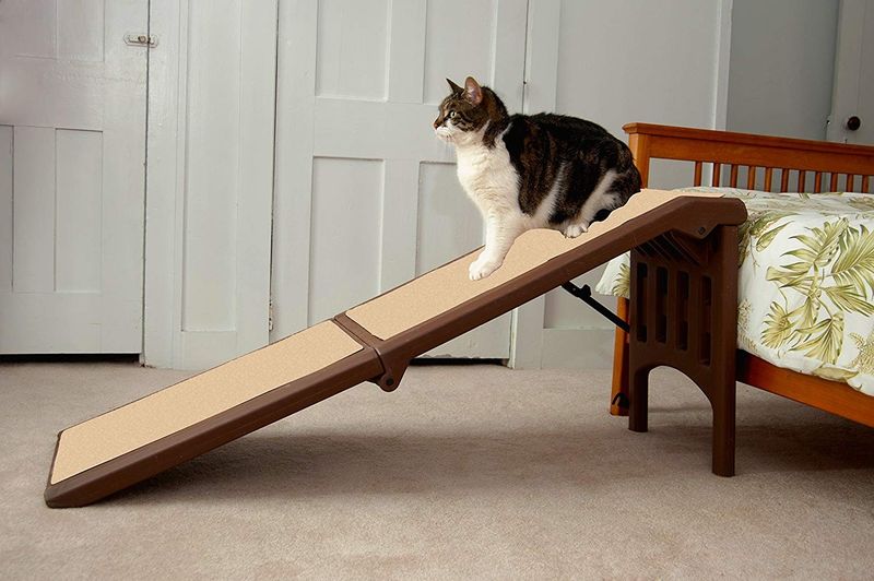 Create Easy-Access Climbing Spots