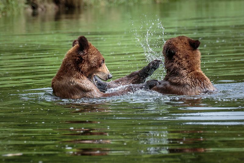 Bath Time Enthusiasts