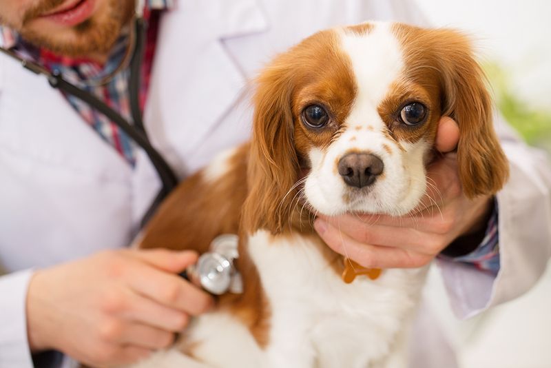 Health Concerns Require Attention
