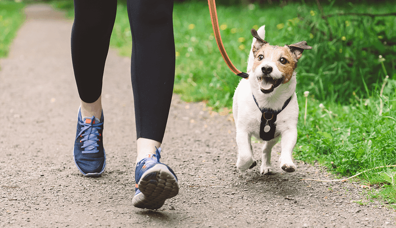 Predictable Walking Routes