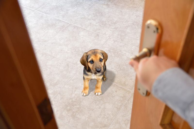 Doorway Manners