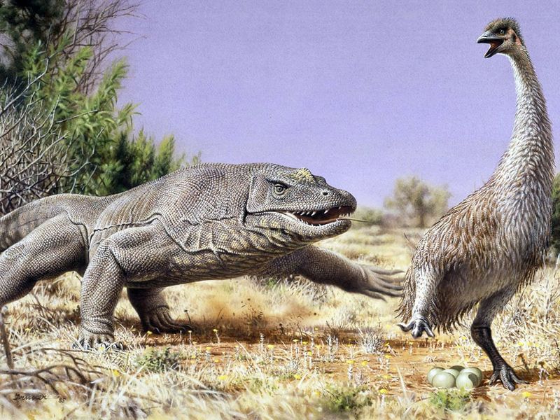 Extinction Timeline Recalibration