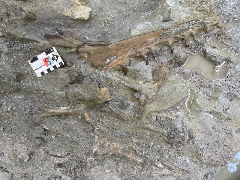 Unexpected Mississippi Location Reveals Ancient Secrets