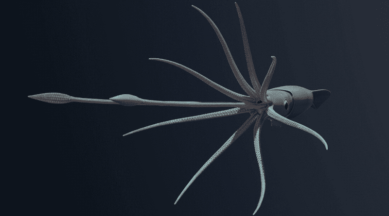 Colossal Squid