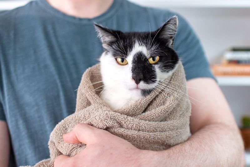 Gently Wrap In A Towel If Needed