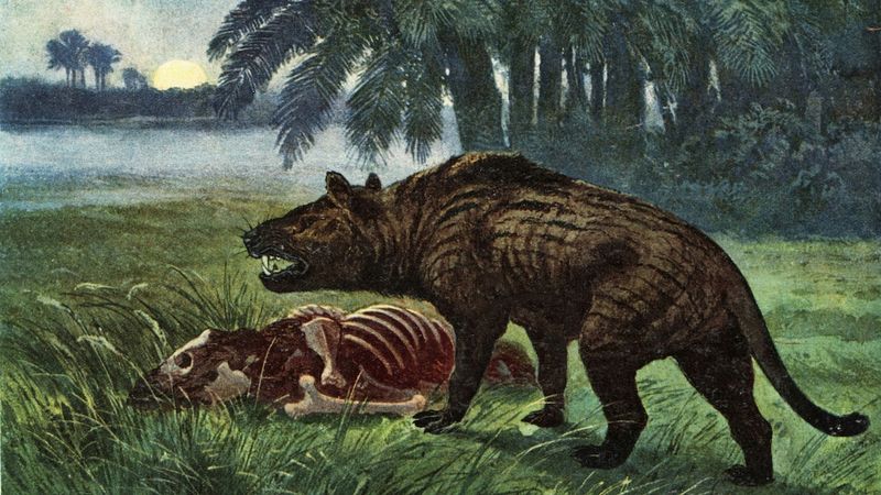 Brain Structure Reveals Hunting Strategies