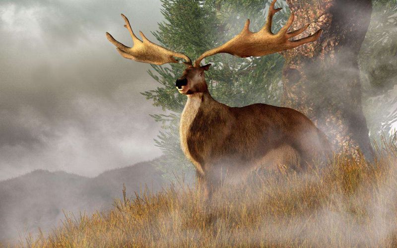 Irish Elk: Antler Champion Of All Time