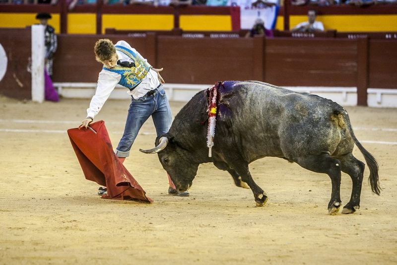 Bulls Don't Get Angry At Red Colors