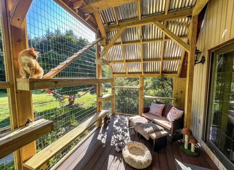 Create A Catio Paradise