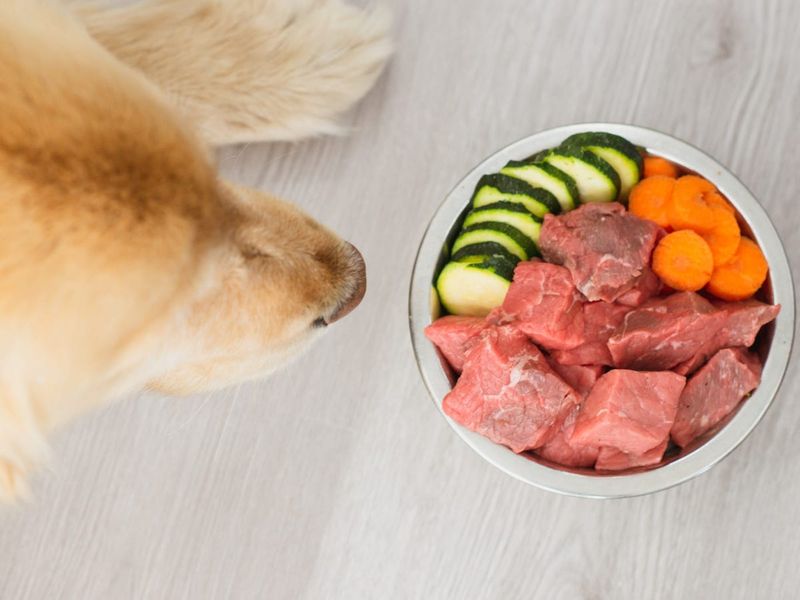 Raw Meat Is Natural And Therefore Better