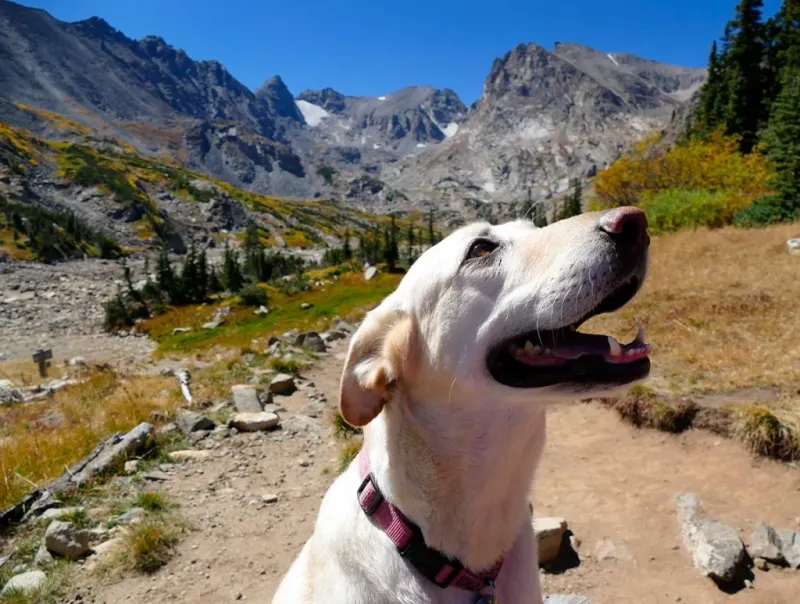 Rocky Mountain National Park, Colorado
