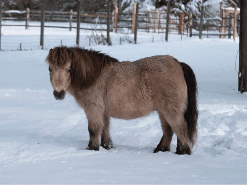 Winter Coat Explosion