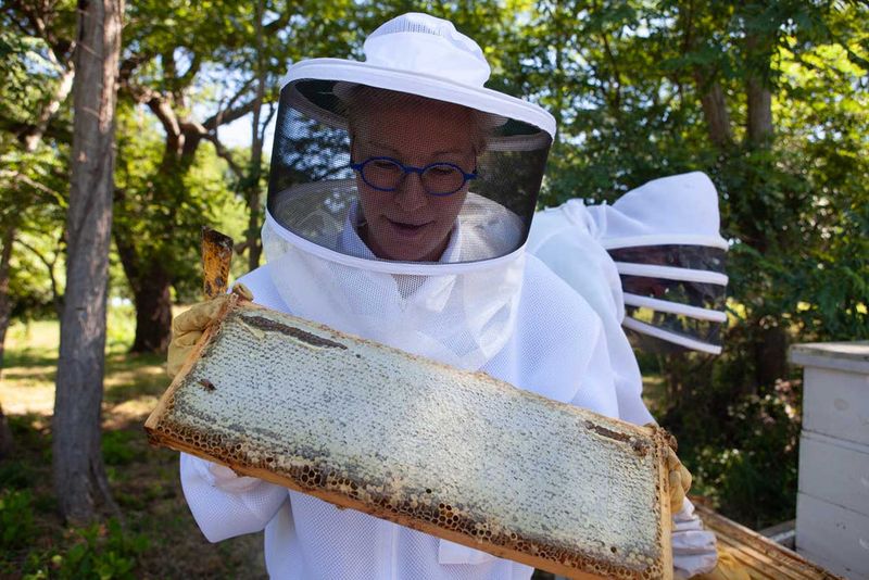 Support Local Beekeepers