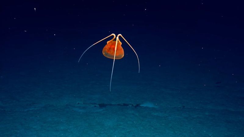 Point Nemo