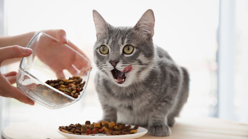 Fiber-Deficient Diet