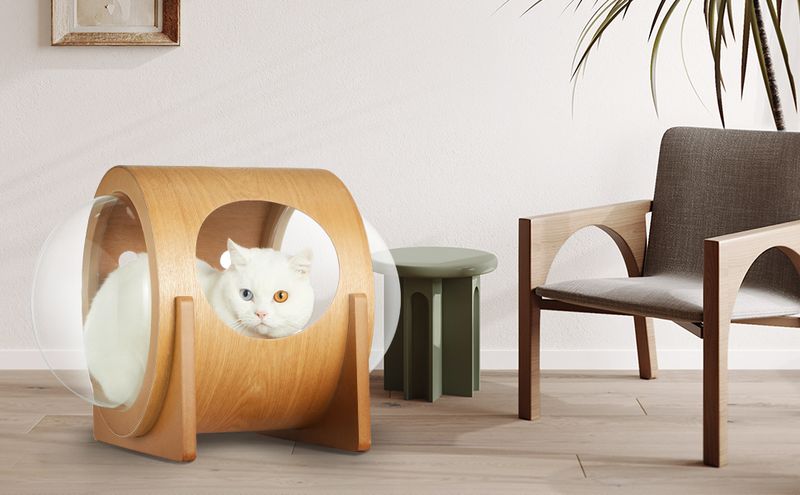 Window Bubble Pod: Space-Age Observation Deck