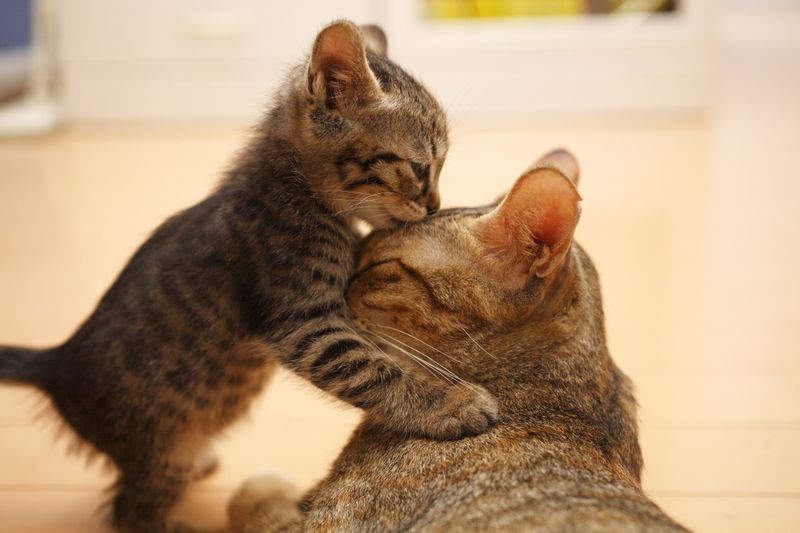 More Love to Go Around