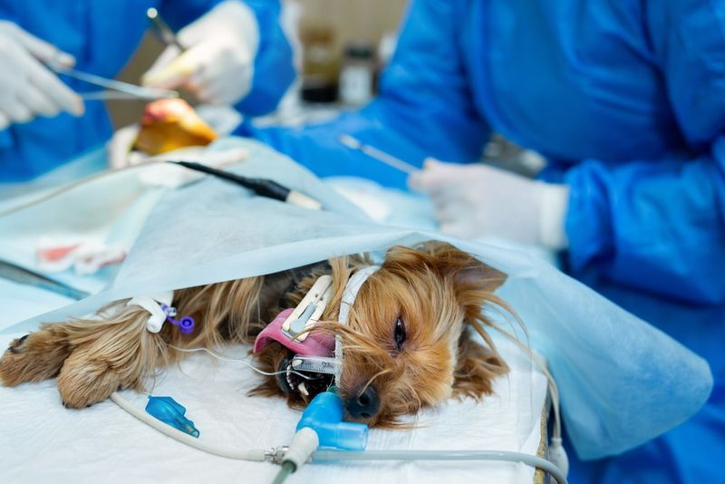 Anesthesia Complications